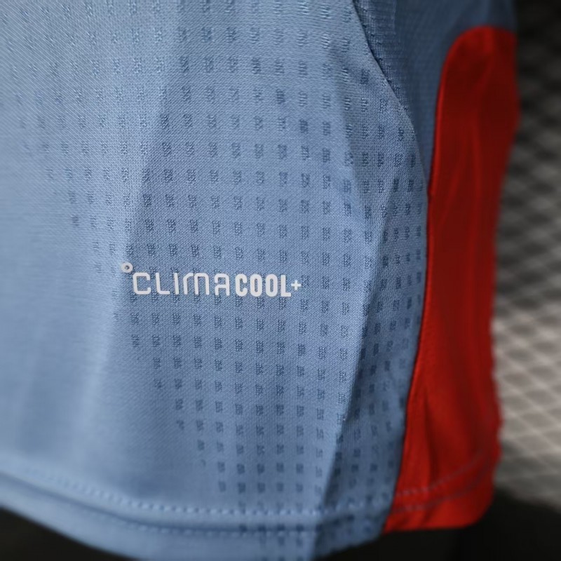 Player Version 2026 Japan Away Jersey