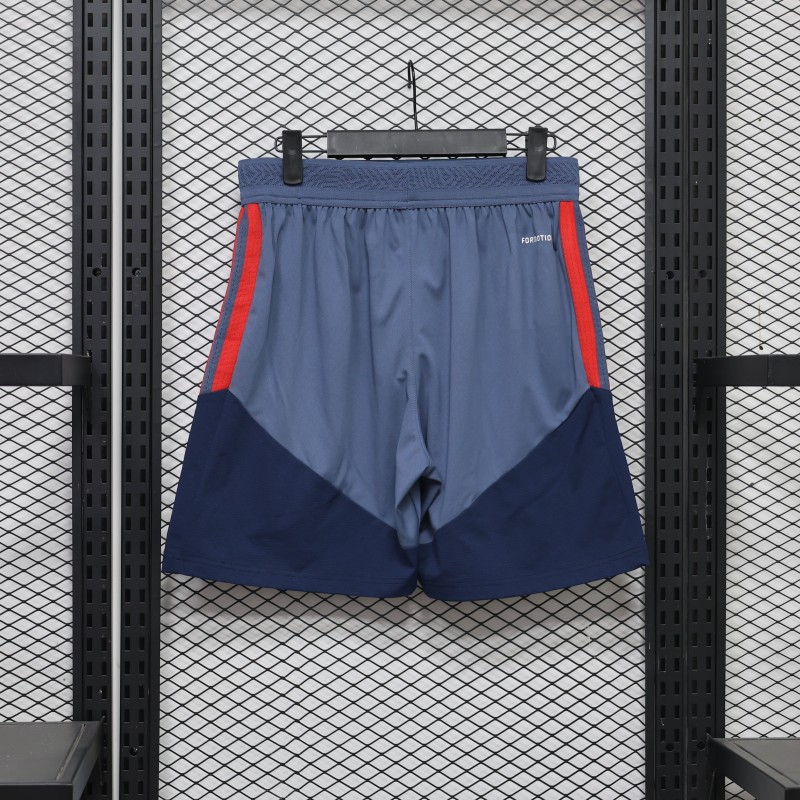 Player Version 26/27 Bayern Munich Grey Shorts with Pockets