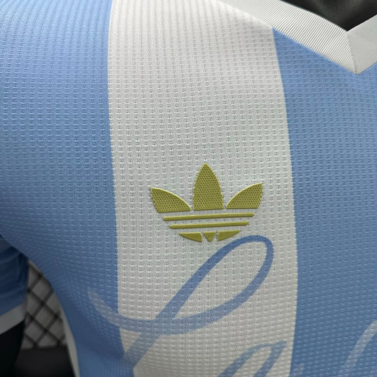Player Version 2025 Argentina Home Sky Blue with Messi Celebration Print Jersey